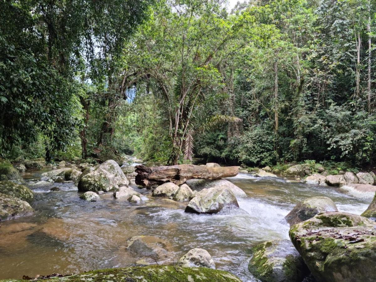 Recanto Da Margo 1, Casa Com Acesso A Cachoeira Parati Extérieur photo