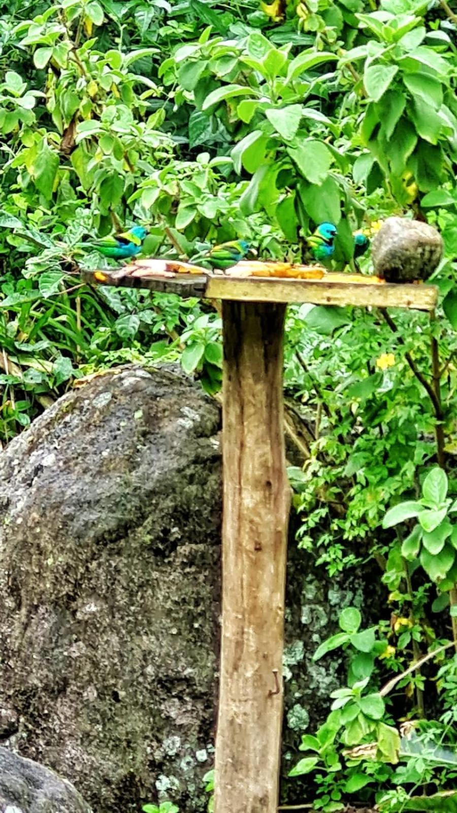 Recanto Da Margo 1, Casa Com Acesso A Cachoeira Parati Extérieur photo
