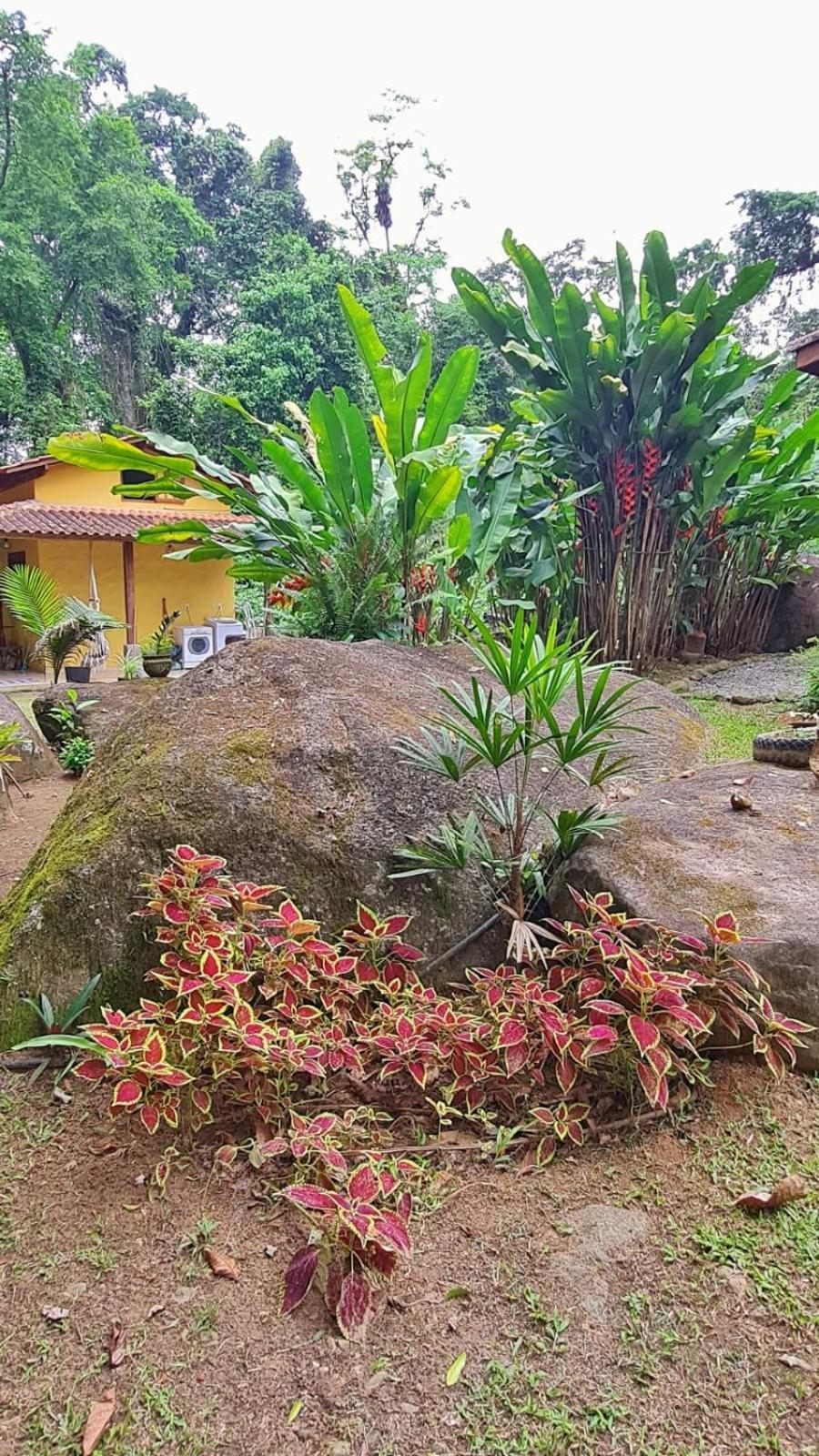Recanto Da Margo 1, Casa Com Acesso A Cachoeira Parati Extérieur photo