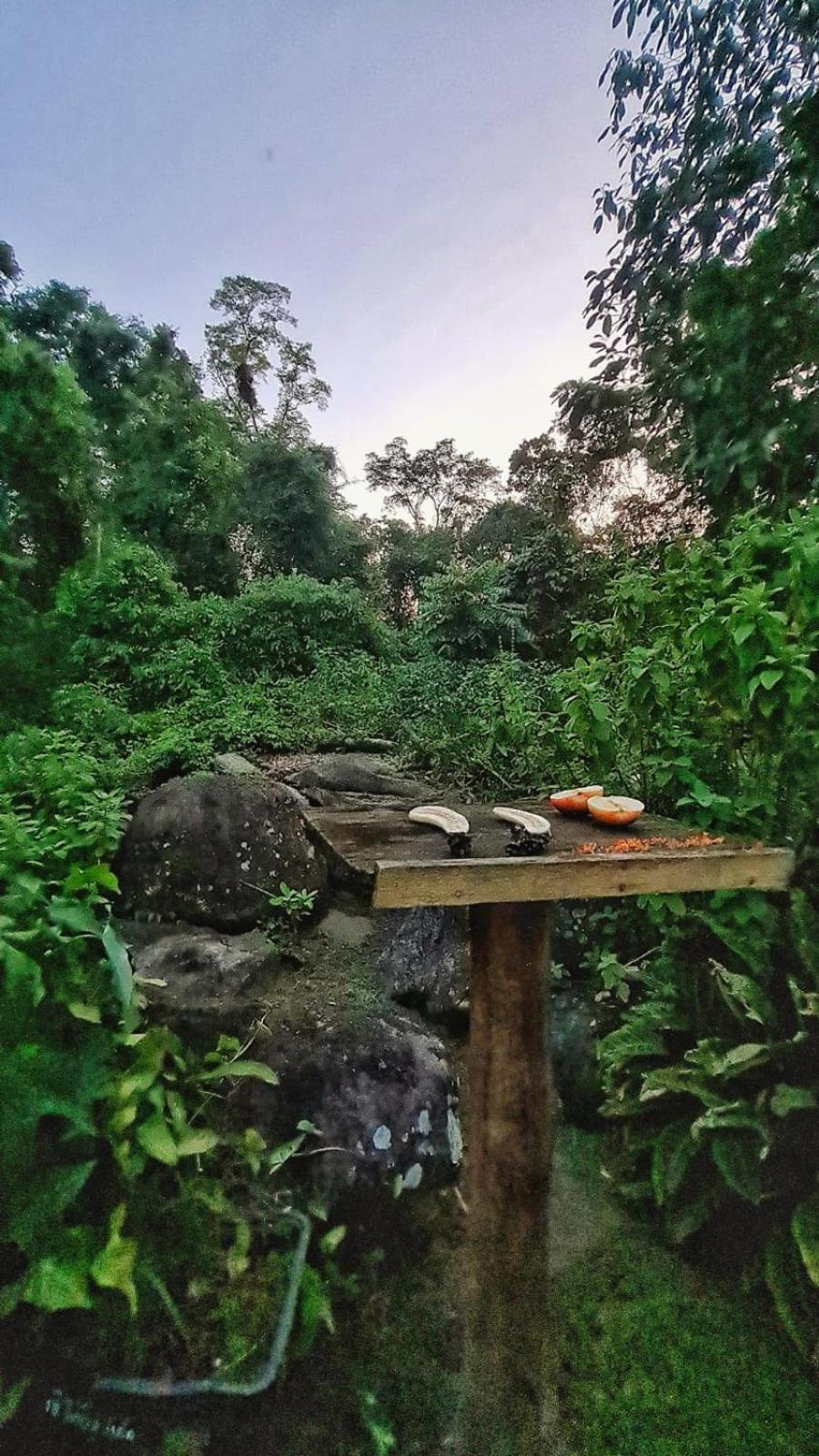 Recanto Da Margo 1, Casa Com Acesso A Cachoeira Parati Extérieur photo