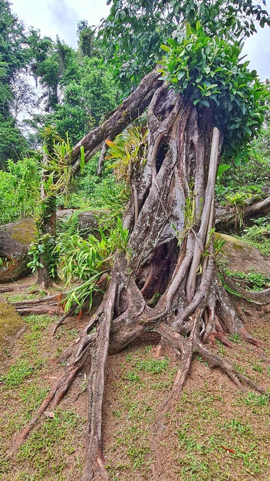 Recanto Da Margo 1, Casa Com Acesso A Cachoeira Parati Extérieur photo
