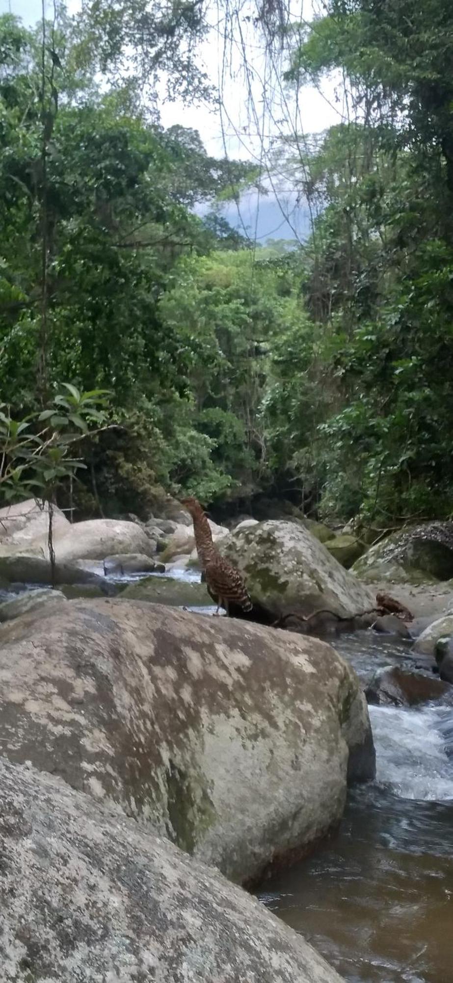 Recanto Da Margo 1, Casa Com Acesso A Cachoeira Parati Extérieur photo