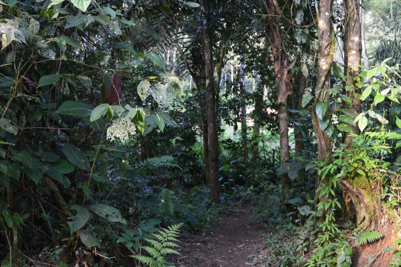 Recanto Da Margo 1, Casa Com Acesso A Cachoeira Parati Extérieur photo